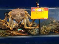 -蚝专家(北滘店)