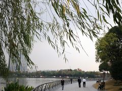 -南翔镇银翔湖公园