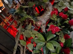 -庄老幺火锅(娄山关路店)