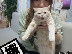 -小时光咖啡馆(开森度假森林店)