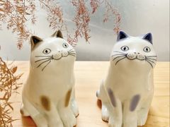 -猫里有甜