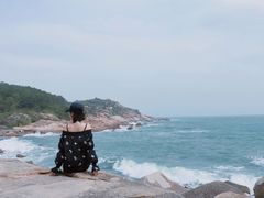 -广东惠东海龟国家级自然保护区