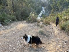 -青龙山国家森林公园