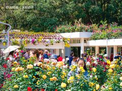 -人民公园(罗湖区)