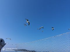 -长岛南北长山旅游景区