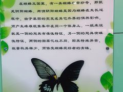 -上海昆虫博物馆