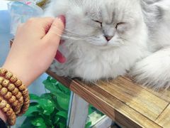 -小时光咖啡馆(开森度假森林店)