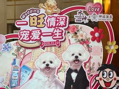 -上海神旺大酒店