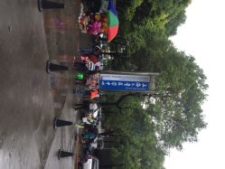 交通大学医学院附属儿童医学中心-上海交通大学医学院附属上海儿童医学中心(陆家嘴总院区)