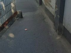 -兰州老马拉面(四王府店)