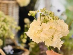 -CELINE(尚嘉中心店)