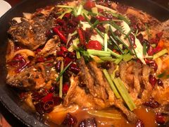 老板恋上鱼-老板恋上鱼(高新万达店)