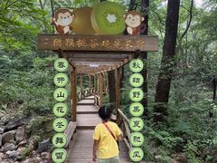 -大岭沟猕猴桃谷风景区