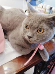 -Miss·A日式美甲美睫