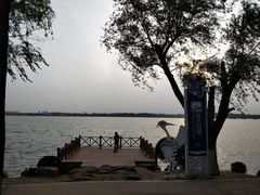 -丁香湖公园