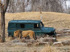 -北京野生动物园