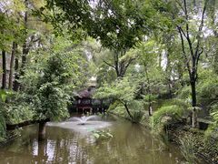 -桂湖森林公园