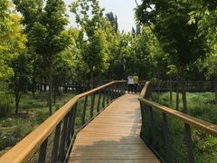-东郊湿地公园