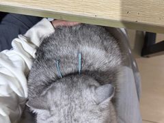 -Oasis绿洲银饰珍珠手作diy(壹方城店)
