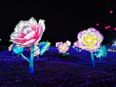 -国际非物质文化遗产博览园