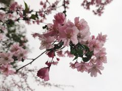 -九里河湿地公园
