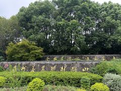 -树山生态村