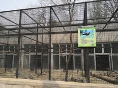 -保定市动物园