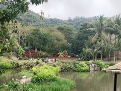 -呀诺达热带雨林