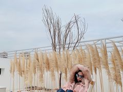 -Blue Concept Cafe&Farm·關於藍