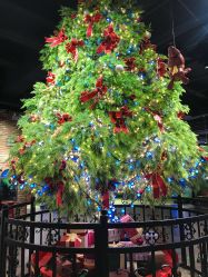 -幻贝家儿童乐园(苏州中心店)