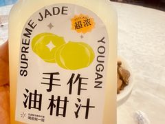 油柑汁-潮之南·潮汕菜·鱼仔档(南山店)