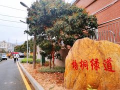 -梧桐山风景名胜区