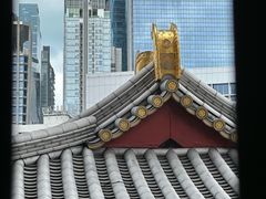 -新加坡佛牙寺龙华院