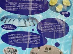 -上海交通大学董浩云航运博物馆