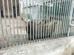 -祥源·阜阳生态乐园