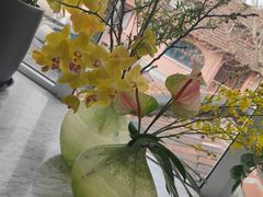 -蝶舍·MAISON PAPILLON