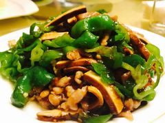 -丁老爷子苏香圆