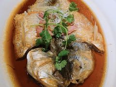 酒香大鲥鱼-丰收日(五角场店)