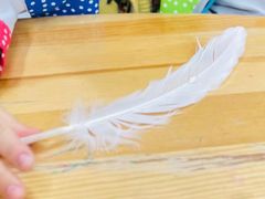 -神奇科学家STEAM科学实验科创赛事机器人编程逻辑思维MadScience(长宁来福士校区)