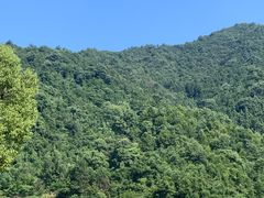-虎啸峡漂流