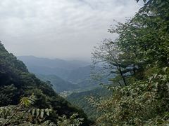 -王顺山国家森林公园