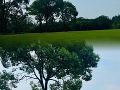 -上海滨江森林公园