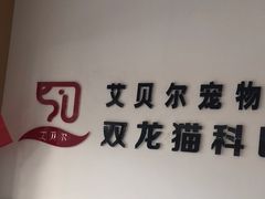 -艾贝尔宠物医院·24H转诊中心·肿瘤猫专科(江宁双龙店)