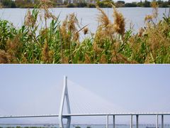 -芒洲湿地公园