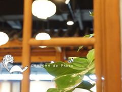 大堂-壹盏灯(惠农店)
