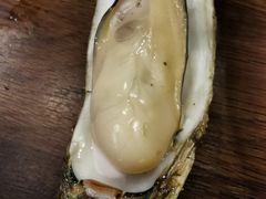 -土蚝·高压锅生蚝(百姓美食街店)