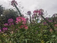 -人民公园(罗湖区)