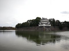 -名古屋城