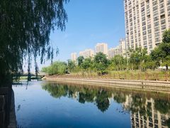 -新江湾城公园