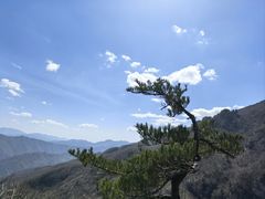 -牛背梁国家森林公园